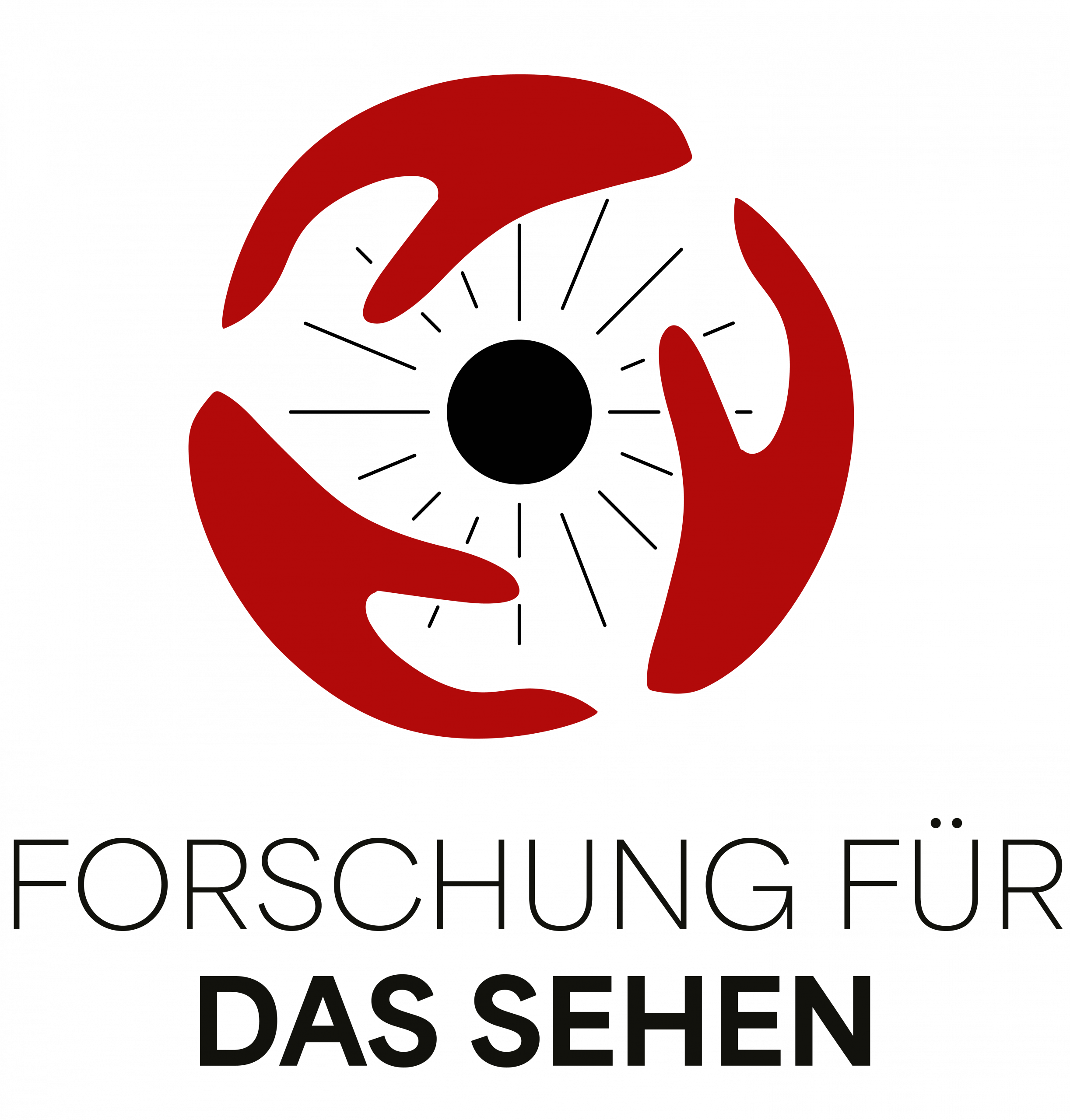 Forschung für das Sehen